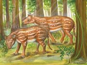 Indian fossils support new hypothesis for origin of hoofed mammals