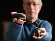 Irelands only dinosaurs discovered in Antrim
