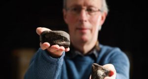 Irelands only dinosaurs discovered in Antrim