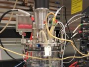 Microbe rewiring technique promises a boom in biomanufacturing