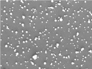 Nanomedicine crosses into brain eradicates recurring brain cancer in mice