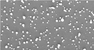 Nanomedicine crosses into brain eradicates recurring brain cancer in mice