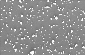 Nanomedicine crosses into brain eradicates recurring brain cancer in mice