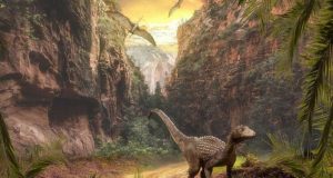 New analysis refutes claim that dinosaurs were in decline before asteroid hit