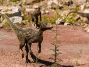 New placement for one of Earths largest mass extinction events