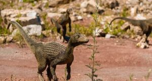 New placement for one of Earths largest mass extinction events