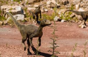 New placement for one of Earths largest mass extinction events