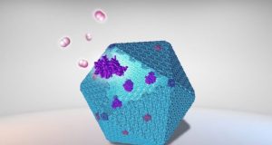 New protein nanobioreactor designed to improve sustainable bioenergy production