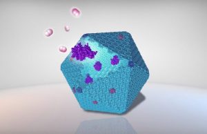 New protein nanobioreactor designed to improve sustainable bioenergy production