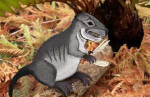 New species of ancient cynodont 220 million years old discovered