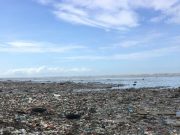 New study reveals United States a top source of plastic pollution in coastal environments