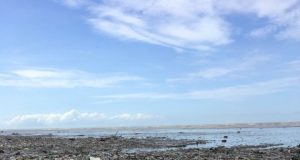 New study reveals United States a top source of plastic pollution in coastal environments