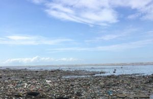New study reveals United States a top source of plastic pollution in coastal environments
