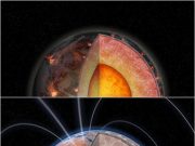 Radioactive elements may be crucial to the habitability of rocky planets