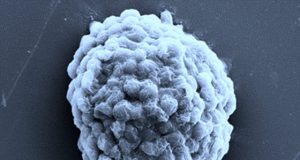 Research creates hydrogen producing living droplets paving way for alternative future energy source