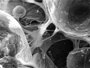 Researchers 3 D print biomedical parts with supersonic speed