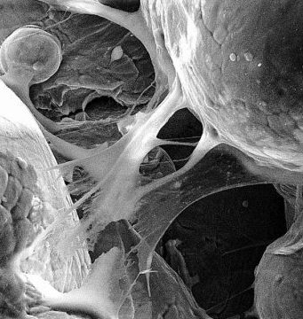 Researchers 3-D print biomedical parts with supersonic speed Researchers 3 D print biomedical parts with supersonic speed