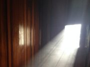 Scientists find harmful chemicals in household dust
