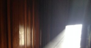 Scientists find harmful chemicals in household dust
