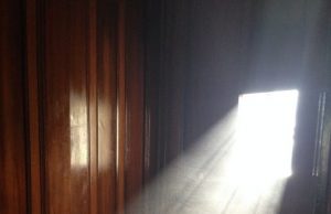 Scientists find harmful chemicals in household dust