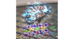 Scientists uncover secrets to designing brain like devices