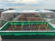 Self watering soil could transform farming