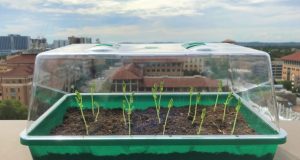 Self watering soil could transform farming