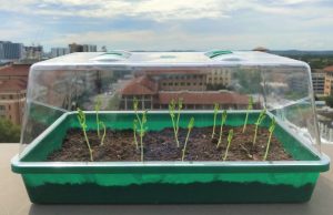 Self watering soil could transform farming