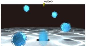 Sorting out viruses with machine learning