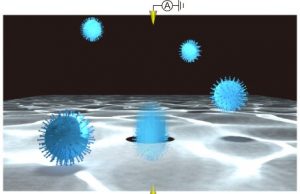Sorting out viruses with machine learning