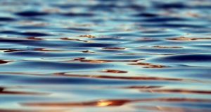 Study identifies the undersea origins of mysterious love waves decoding some of Earths continuous vibrations