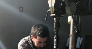 T. rex had huge growth spurts but other dinos grew slow and steady