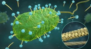 The atomic resolution structure of phage DNA tube—a methodological milestone