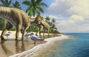 The first duckbill dinosaur fossil from Africa hints at how dinosaurs once crossed oceans