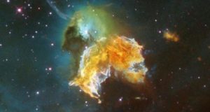 Tree rings may hold clues to impacts of distant supernovas on Earth