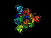 Vibrations of coronavirus proteins may play a role in infection