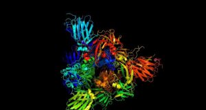 Vibrations of coronavirus proteins may play a role in infection