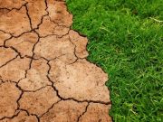Warming of 2 C would release billions of tons of soil carbon