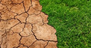 Warming of 2 C would release billions of tons of soil carbon