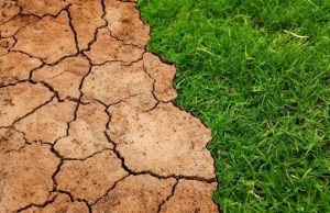 Warming of 2 C would release billions of tons of soil carbon