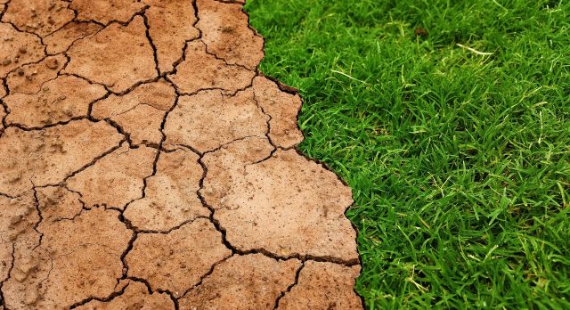 Warming of 2 C would release billions of tons of soil carbon