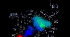 Artificial intelligence finds surprising patterns in Earths biological mass extinctions