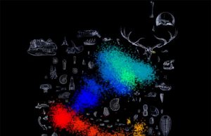 Artificial intelligence finds surprising patterns in Earths biological mass extinctions