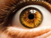 Breakthrough optical sensor mimics human eye a key step toward better artificial intelligence