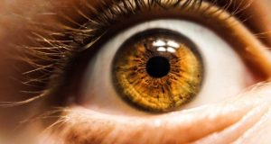 Breakthrough optical sensor mimics human eye a key step toward better artificial intelligence