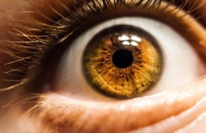 Breakthrough optical sensor mimics human eye a key step toward better artificial intelligence