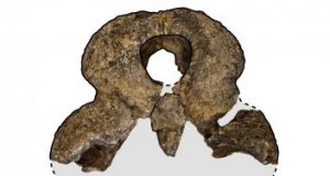 Crikey Massive prehistoric croc emerges from South East Queensland