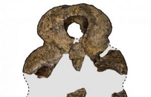 Crikey! Massive prehistoric croc emerges from South East Queensland Crikey Massive prehistoric croc emerges from South East Queensland