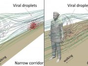 Fast walking in narrow corridors can increase COVID 19 transmission risk