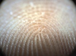 Fingerprints moisture regulating mechanism strengthens human touch